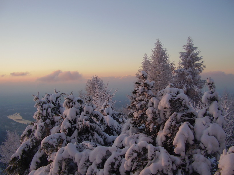  Blick vom Königstuhl